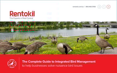 RTK_Complete Guide to Integrated Bird Management_Cover