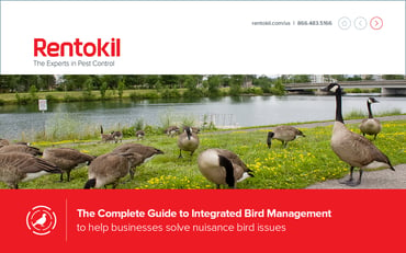 RTK_Complete Guide to Integrated Bird Management_Cover